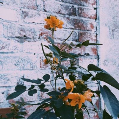 b体育登录入口app下载安装